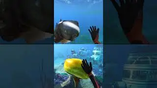 CUDDLEFISH VS TRIVALVE WHO'S THE CUTEST ? | Subnautica × Subnautica Below Zero