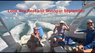 Looe Key Diving and Lobstering in September 2024