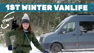 the one with the clutch, the bakery and the cats first snow