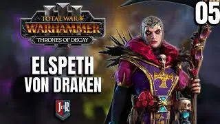 THE WALLS ON NULN - Elspeth Von Draken - Thrones of Decay - Total War: Warhammer 3 #5