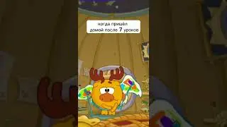 мем