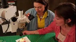 Adopt-a-Book: Preserving Treasures Together - How it Works