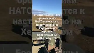 6 ноября 2022 г.
