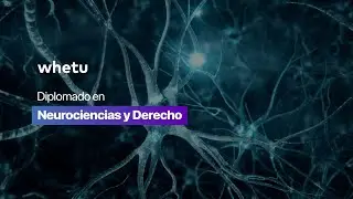 Diplomado en Neurociencias y Derecho