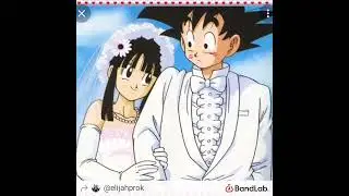 Goku & Chi-Chi (Tyga stimulated remix)