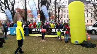 Winter run