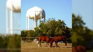 City of Colleyville: Success in the Suburbs