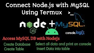 How to connect NodeJs with MySQL Database in Android Termux