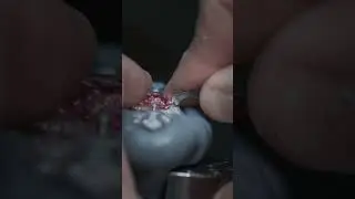Singapore earrings