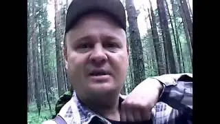 Постройка лачуги в лесу  № 29   Нащельники с грибами и ягодами