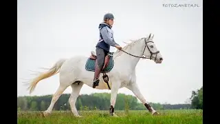 Bieg Św. Jerzego z Dori!