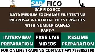 SAP FICO ECC, DATA MEDIUM EXCHNAGE TESTING  PROPOSAL RUN & PAYMENT RUN FILES