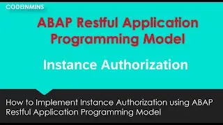 Part 17 : ABAP Restful Application Programming Model - Instance Authorization