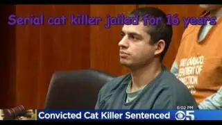Serial cat killer jailed for 16 years