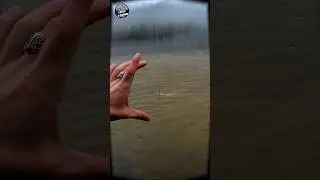 Как быстро поднимается вода! 