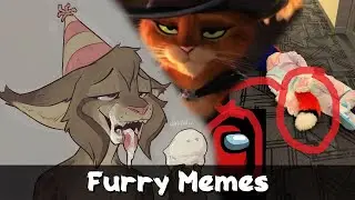 Furry Memes - Furries are weird sometimes