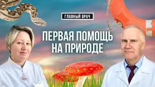 Первая помощь на летнем отдыхе. Главный врач #11