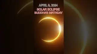 SOLAR ECLIPSE 2024 #solareclipse2024 #totalsolareclipse #eclipse #eclipse2024 #buddha #purnima