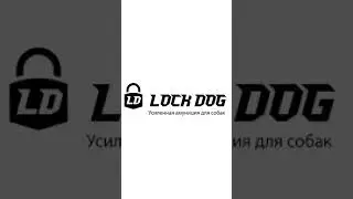 LockDogSPb усиленная амуниция для собак