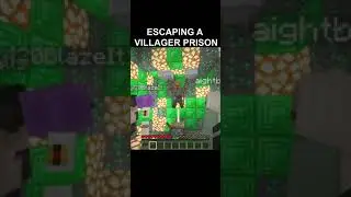 being imprisoned by villagers in minecraft