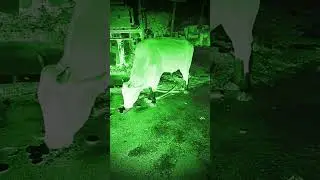 The horror scene #shorts #ytshorts #youtubeshorts #viral #trending #creepy #bhoot #ghost #bhootmovie