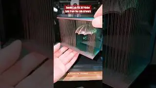 Bambu Lab P1S 3D Printer - Safe From the rain Artwork #3dprinter #bambulab #artwork