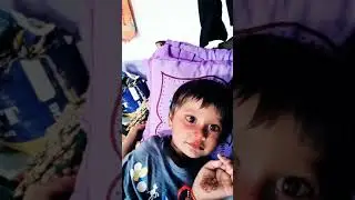 funny vedio