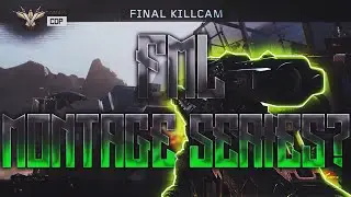 FML Montage Series?