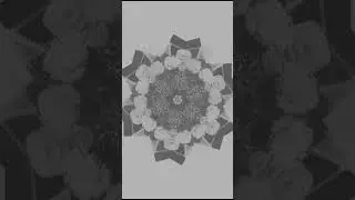 THE EXKORPULENTS - I can't remember what I am, I don't know who I am
