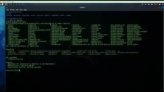 Changing Terminal Colors in Kali Linux | Customize Your Terminal Appearance
