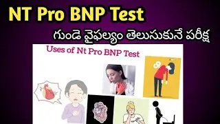 NT Pro BNP blood Test for Heart Failure in Telugu| గుండె వైఫల్యం ఉందో లేదో తెలుసుకునే రక్త పరీక్ష