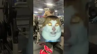 Freak accident