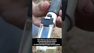 How to measure Brix in Grapes