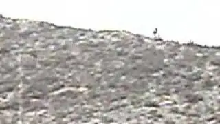 enduro en alfajarin