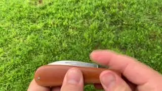Another quick look at my first Swayback Jack.