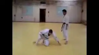 Каратэ Вадо-рю (Karate Wado Ryu)