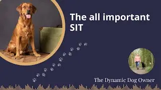 The all important - SIT