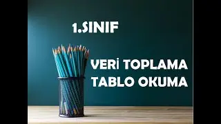 1 SINIF VERİ TOPLAMA VE TABLO OKUMA