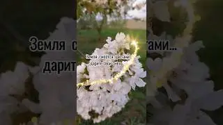 13 апреля 2024 г.