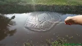 #EP856 Sejam Menjala Ini Hasilnya - menjala ikan darat di tali air