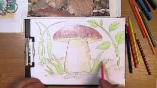 How to Draw a Mushroom. Part 2. Lesson 18