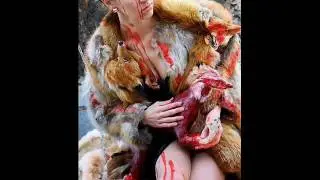 ANIMAL CRUELTY NO MORE!