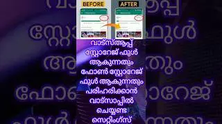 ഫോൺ സ്റ്റോറേജ് ഫുൾ ആയി ഫോൺ പ്രശ്നം ആകുന്നത് ഒഴിവാക്കാൻ വാട്സാപ്പിൽ ചെയ്യണ്ട സെറ്റിംഗ്സ് #techtips