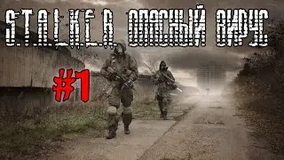 S.T.A.L.K.E.R. Опасный Вирус #1 (Полковник)