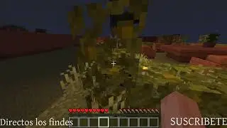 Me van a matar por esto 🤣| Los pros 2 | Minecaft