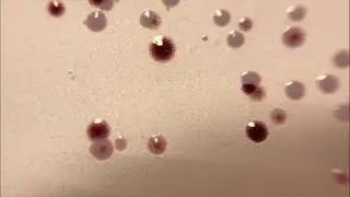 Стрептококки и энтерококки. Всё сложно? Или нет?)
