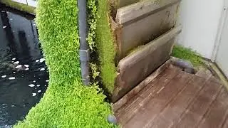 Bakki Shower