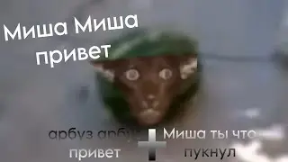 соединение двух мемов (ссылки в описания ролика )