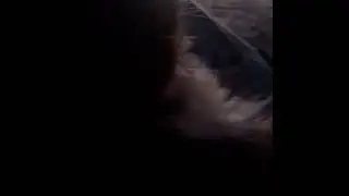 low effort video of cat