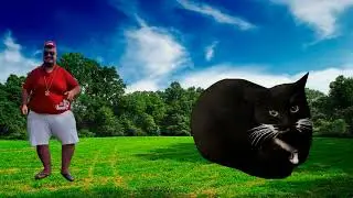 SKIBIDI DOP VS MAXWELL CAT